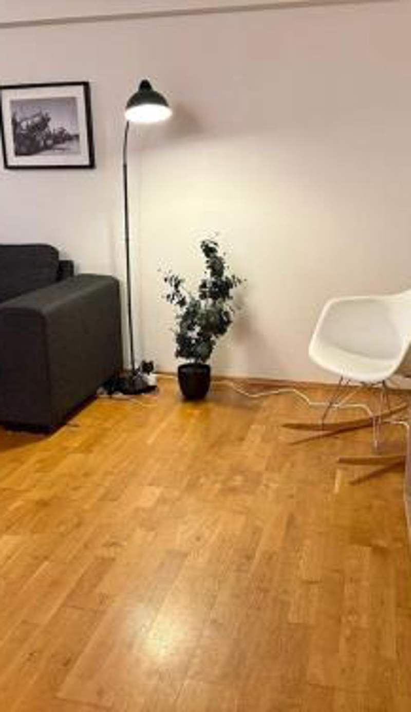 Cozy modern flat in suburb near center