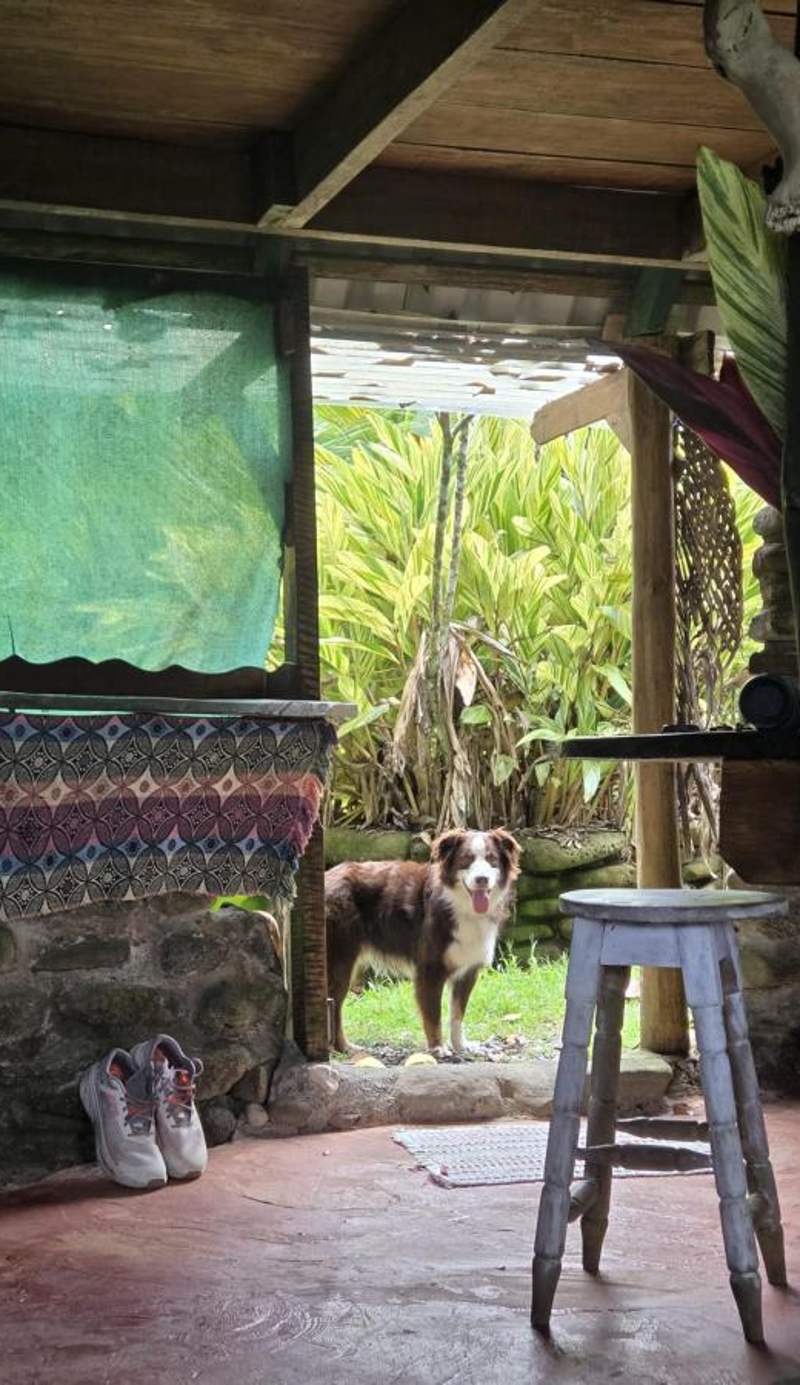 Rustic Cabin in Pavones surf brake