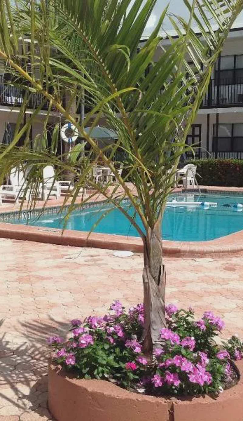 Napoli Belmar Resort