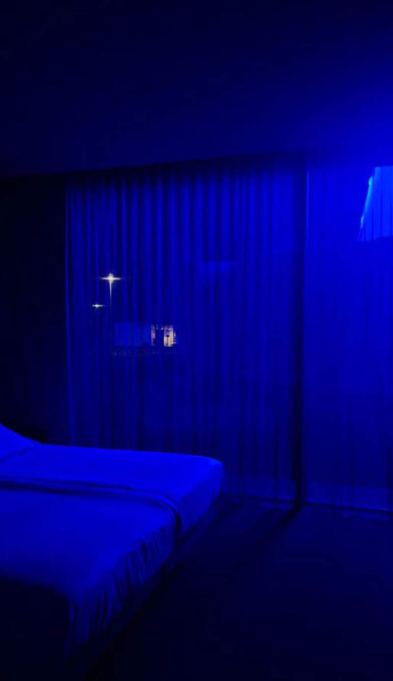 D-Hotel