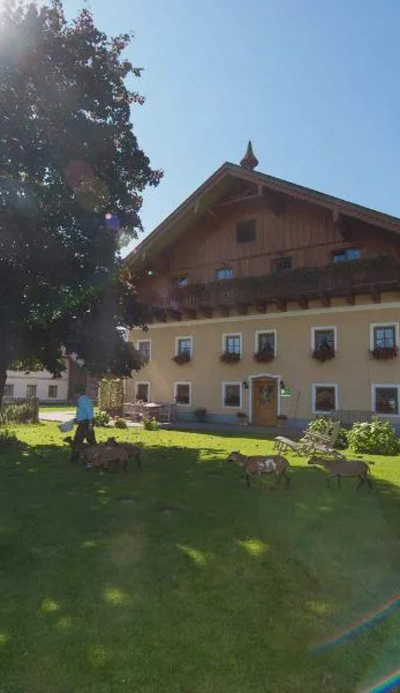Kinderparadies Bachbauer