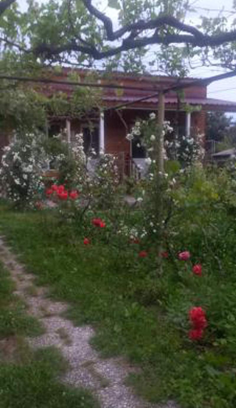 Cottage and Gigo Papa's Wine Cellar