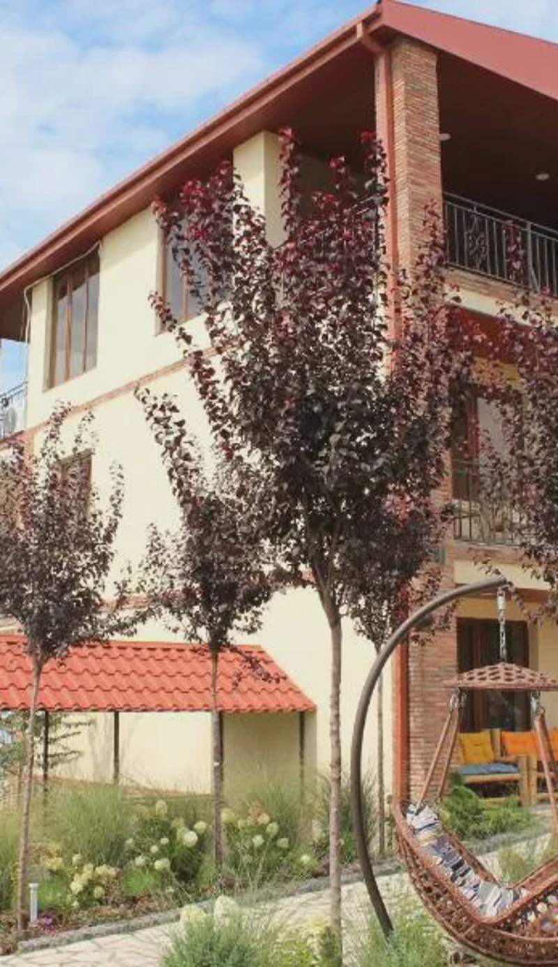 Villa Vitis
