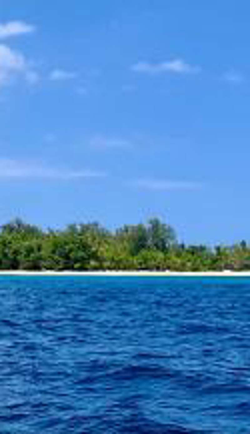 Dany Island