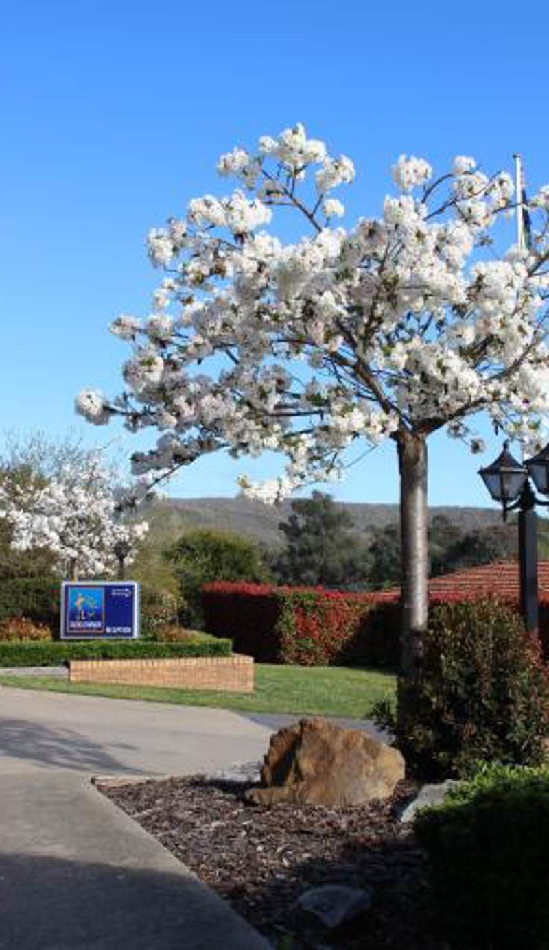 Hume Country Motor Inn Albury