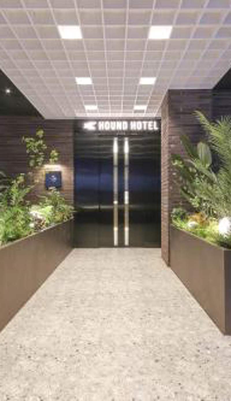Hound Hotel Jeonju Deokjin