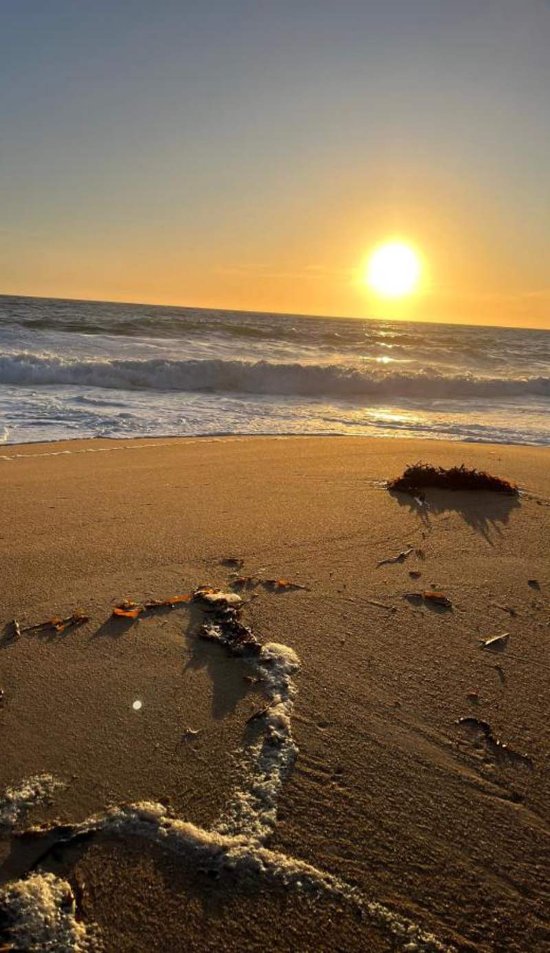 Costa Algarrobo Norte