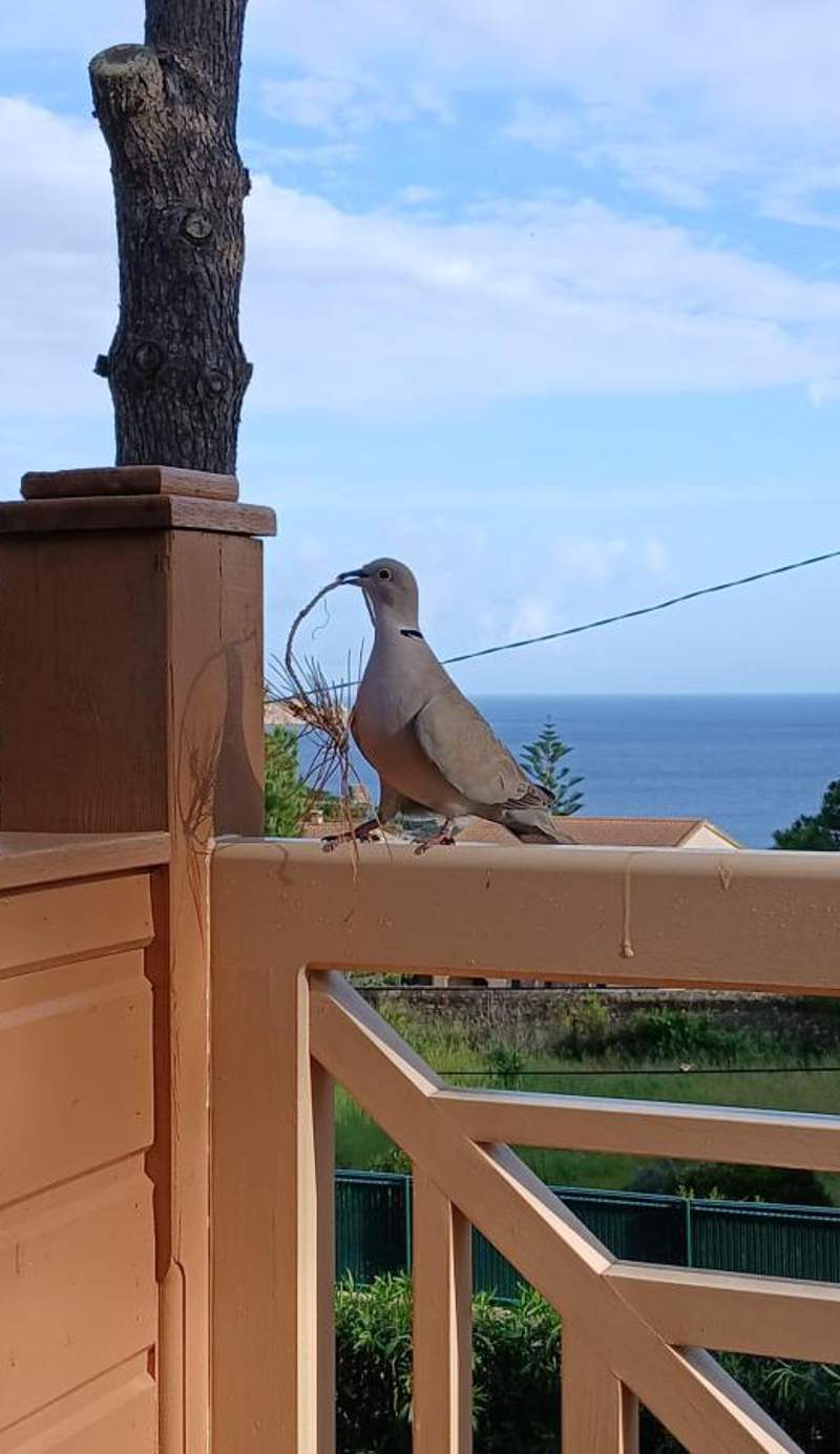 Résidence Les Pins