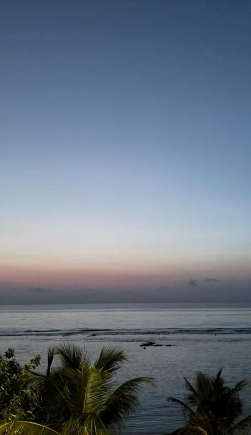 Planktons Beach