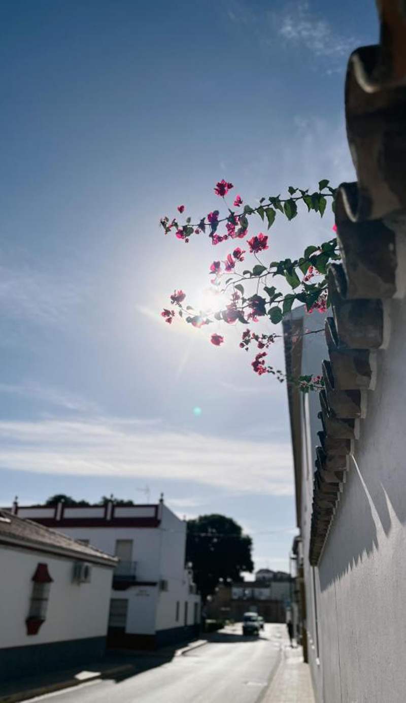 Hacienda Olontigi