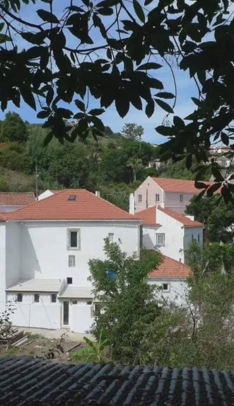 ribeira dos marinheiros amarelo
