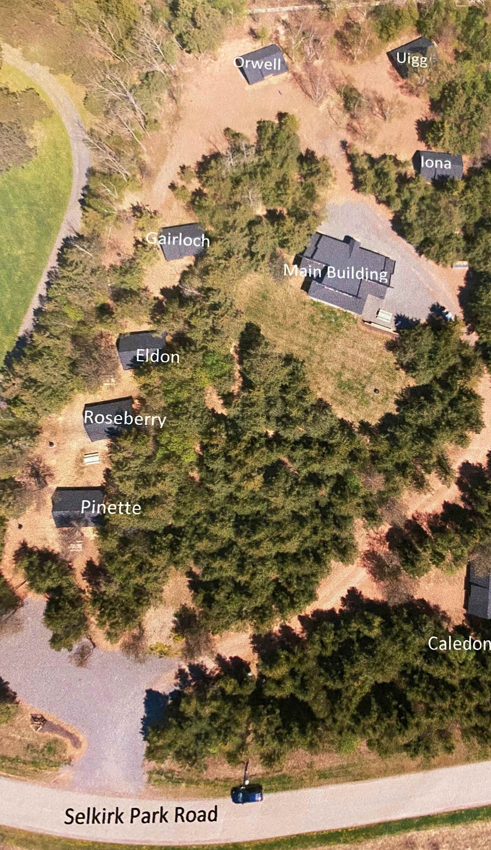 Wild Pines Cabins