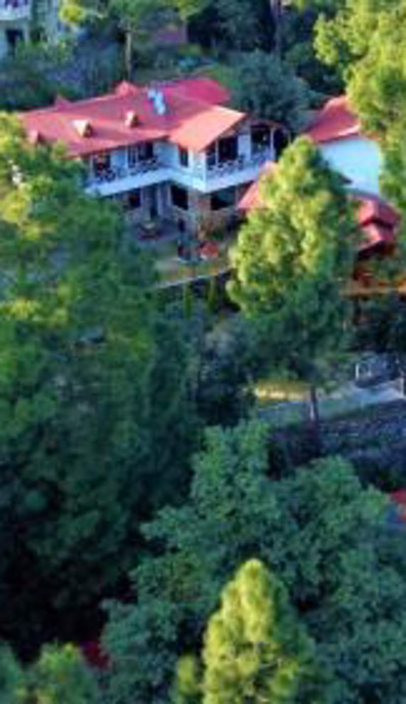 The Nature's Green Resort, Bhimtal, Nainital