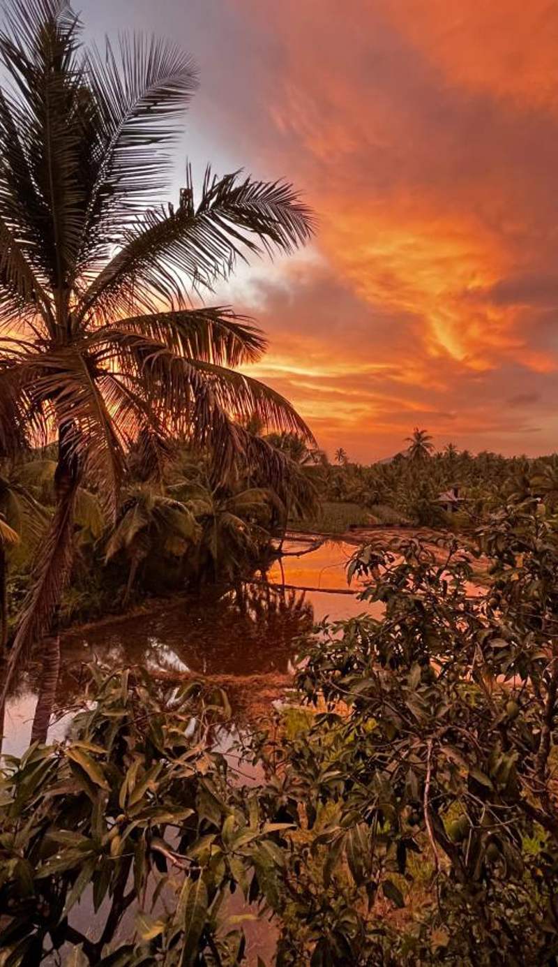 Pelwehera Village Resort