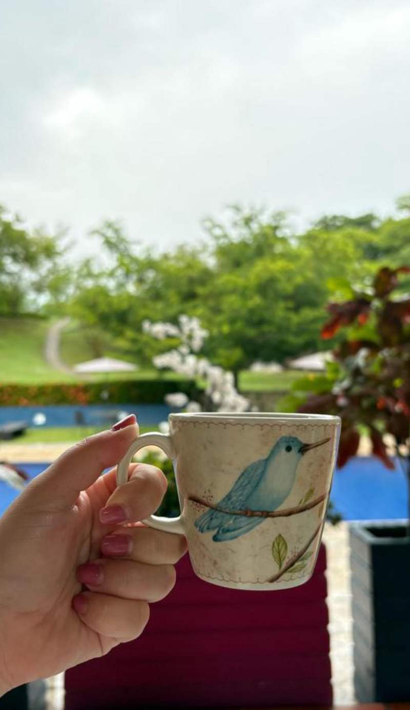 Mangoo Glamping