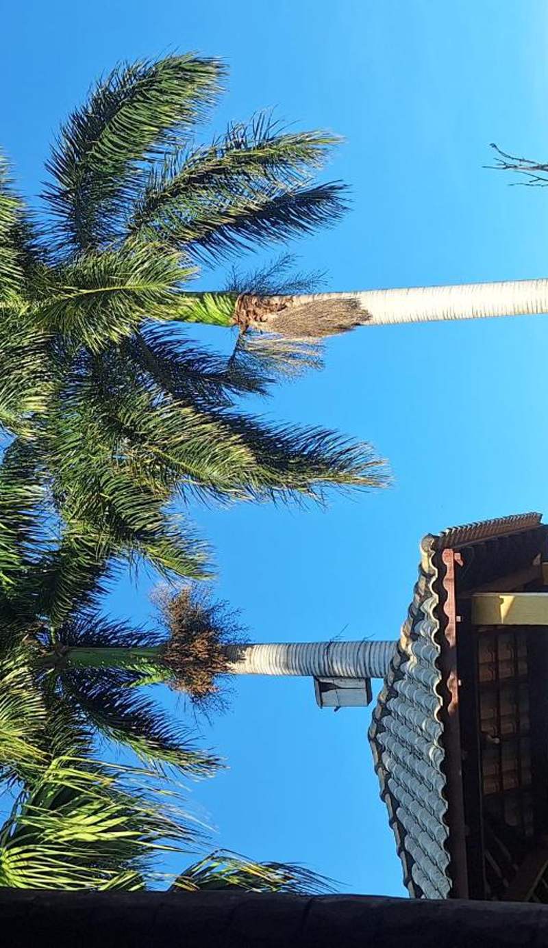 Hotel Pousada Arauna