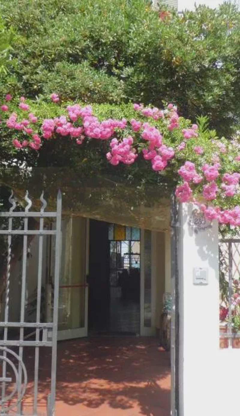 Hotel Villa Morgana