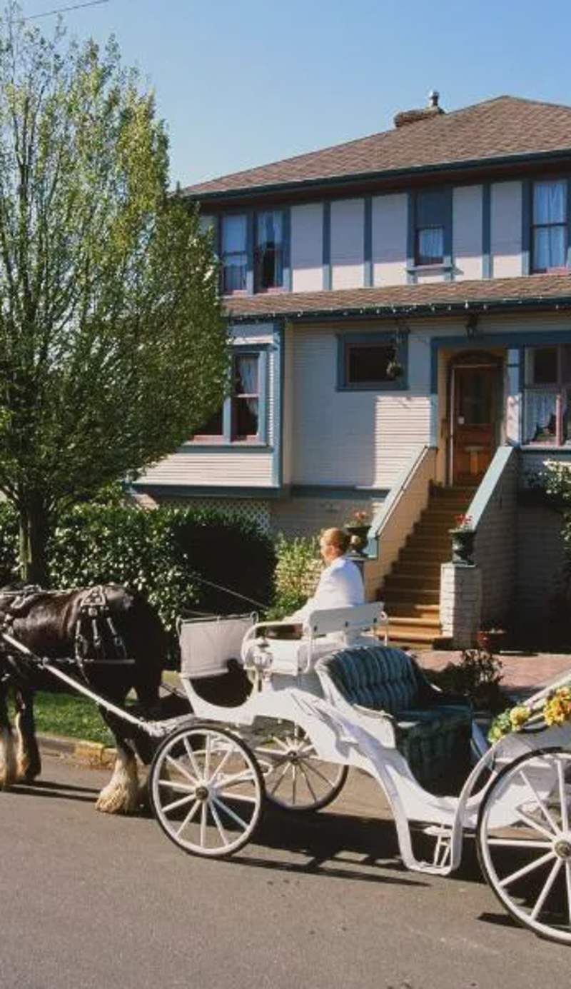 Marketa's Bed and Breakfast