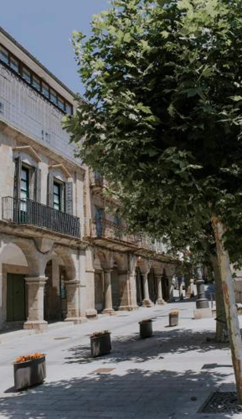 Portales de Pizarro