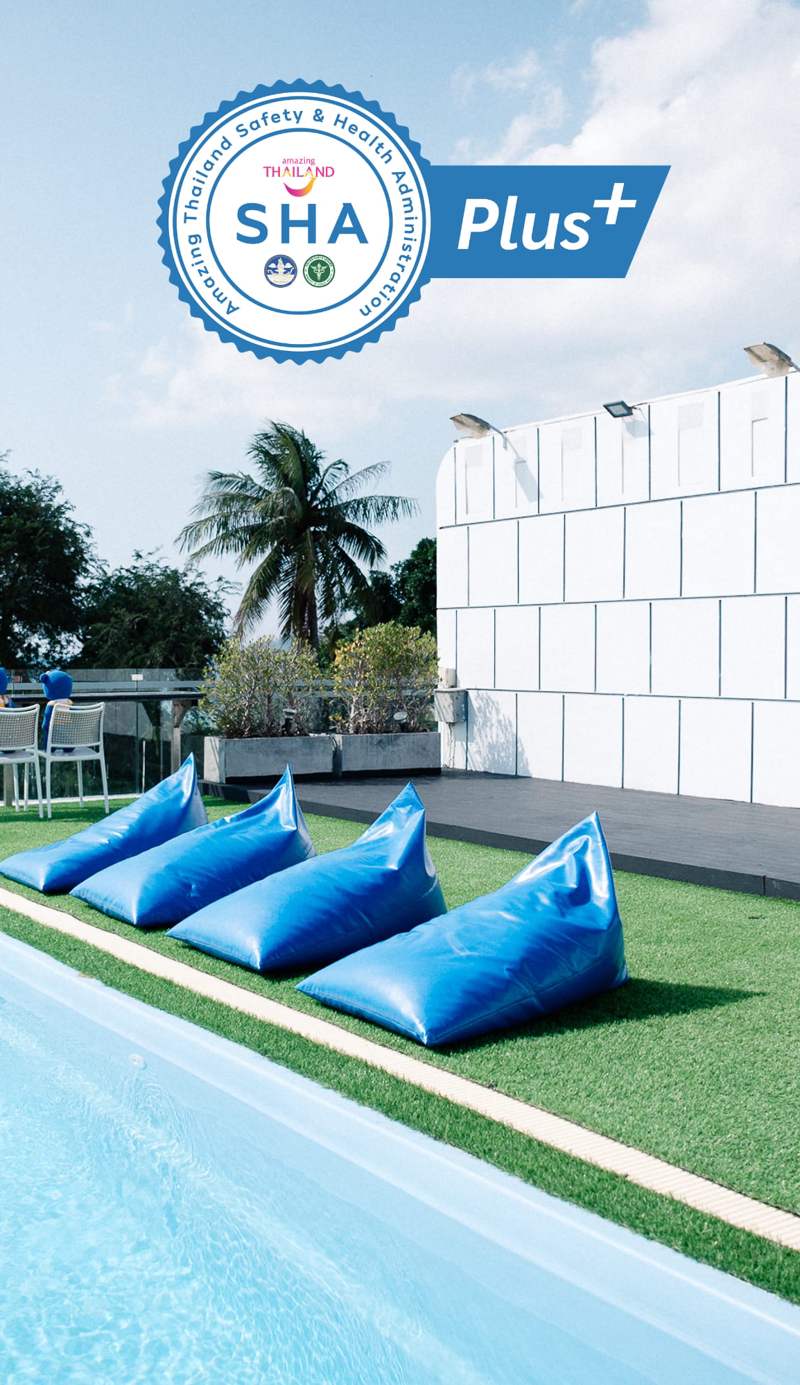 BearPacker Patong Hostel