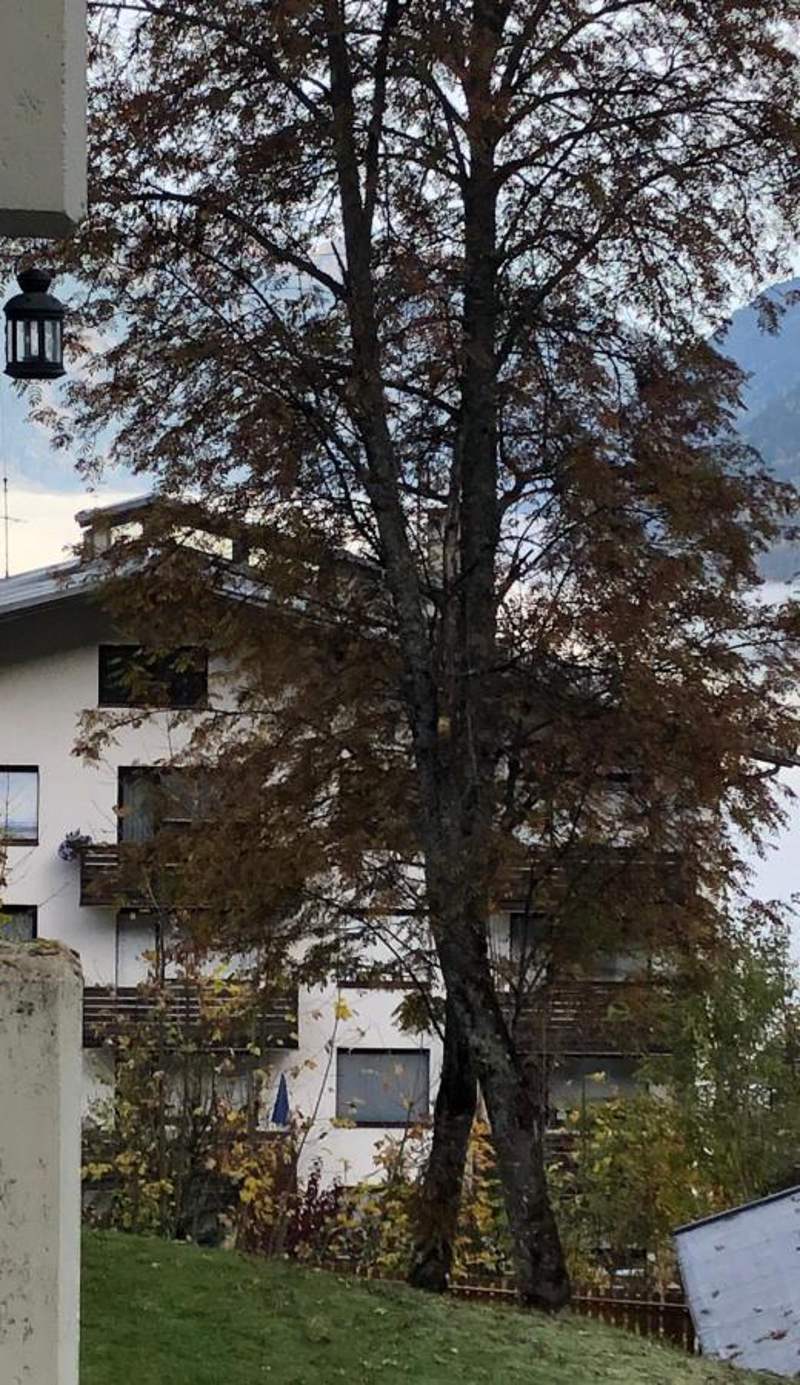 Morgenlicht Apartment