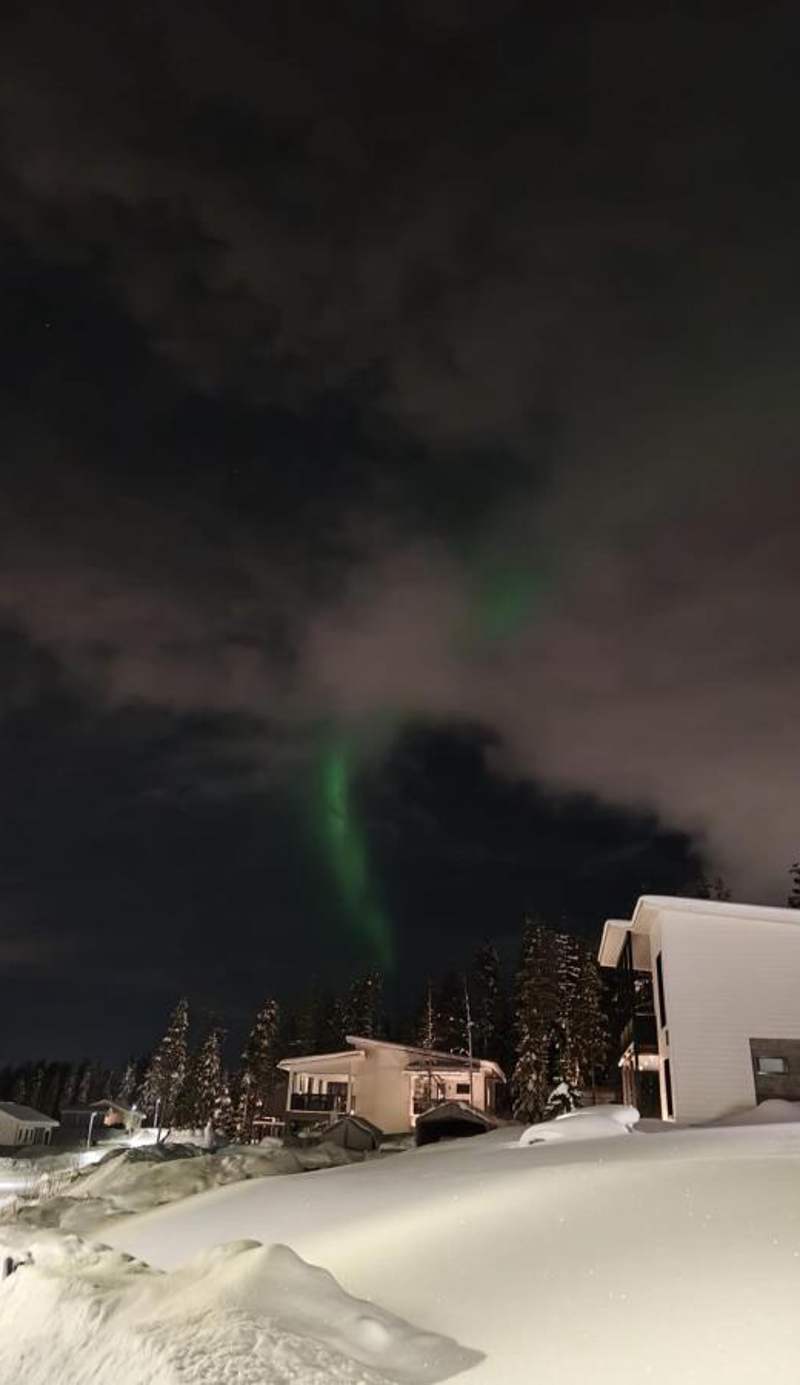 Arctic Hill Apartment