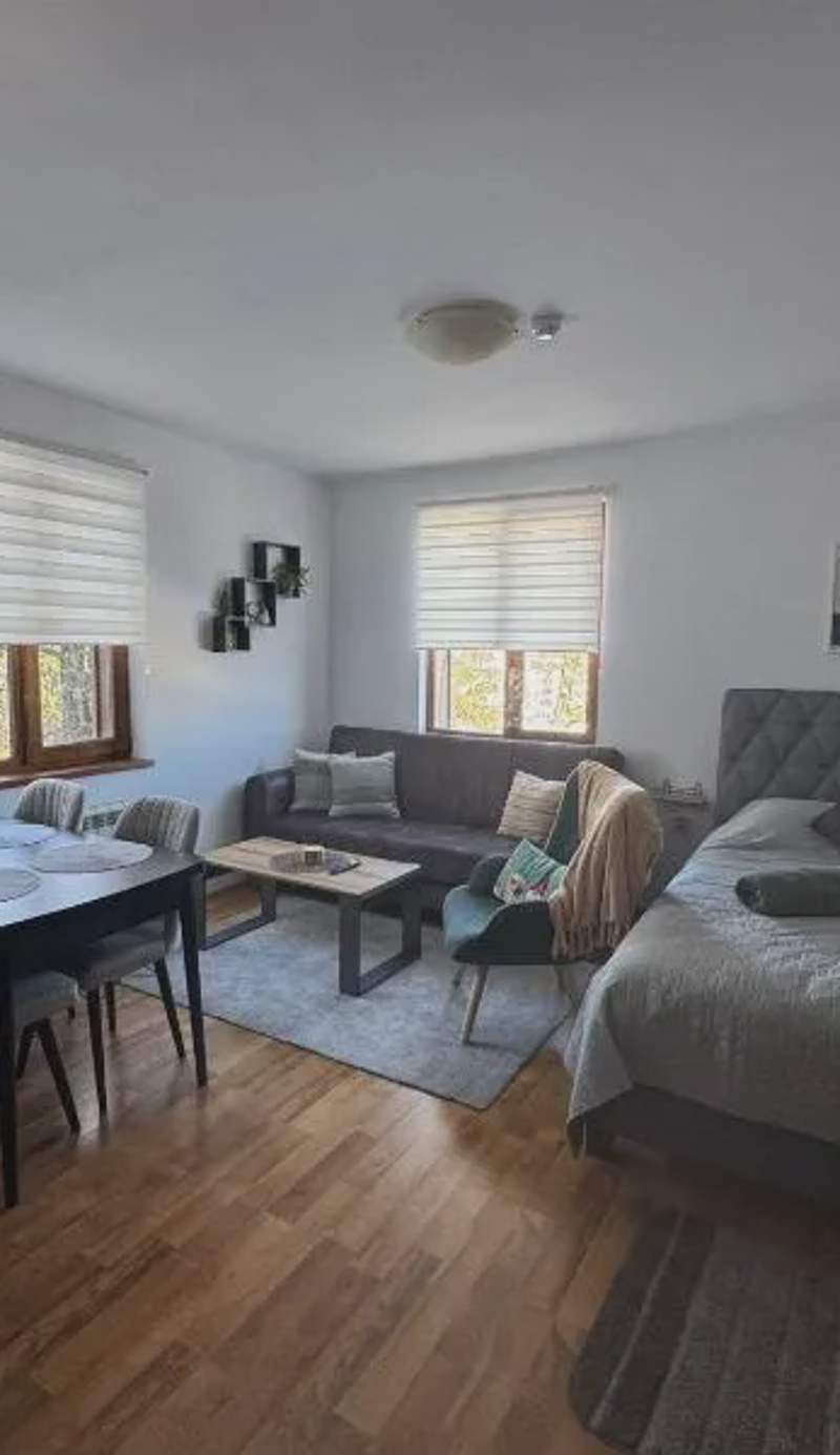 Mountain view Lux Apartment