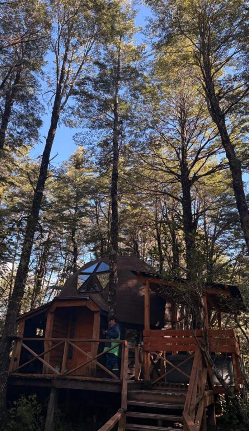 Domos Entre Bosques