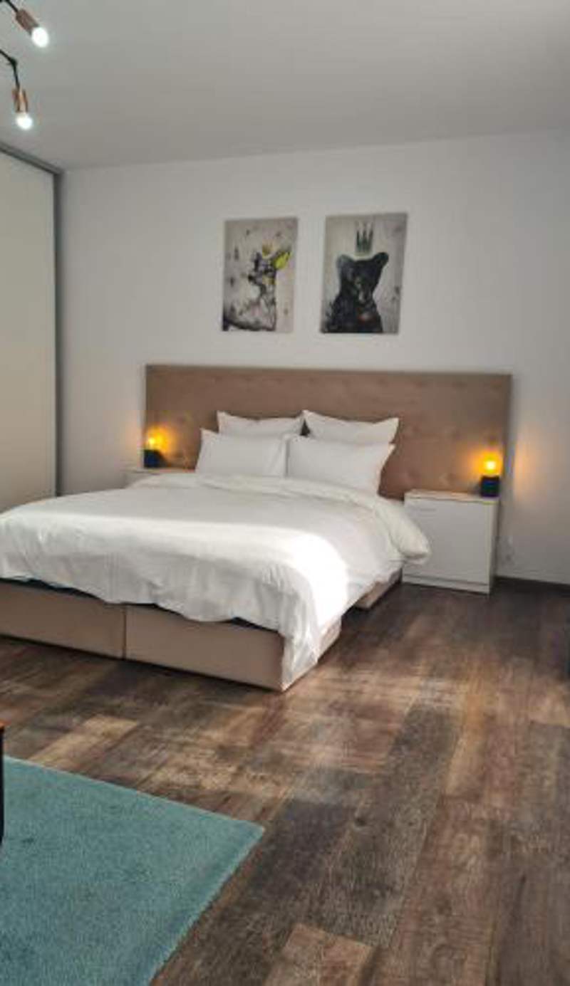 Oasis Suite