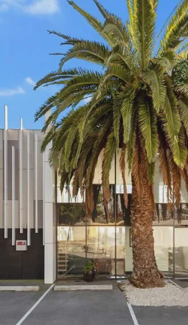 Areca Launceston