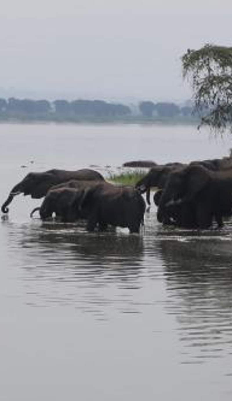 Kasenyi Lake Retreat Lodges & Campsite