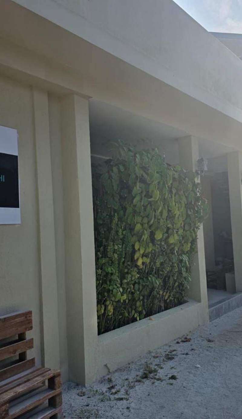 Dhiffushi Tourist Hotel