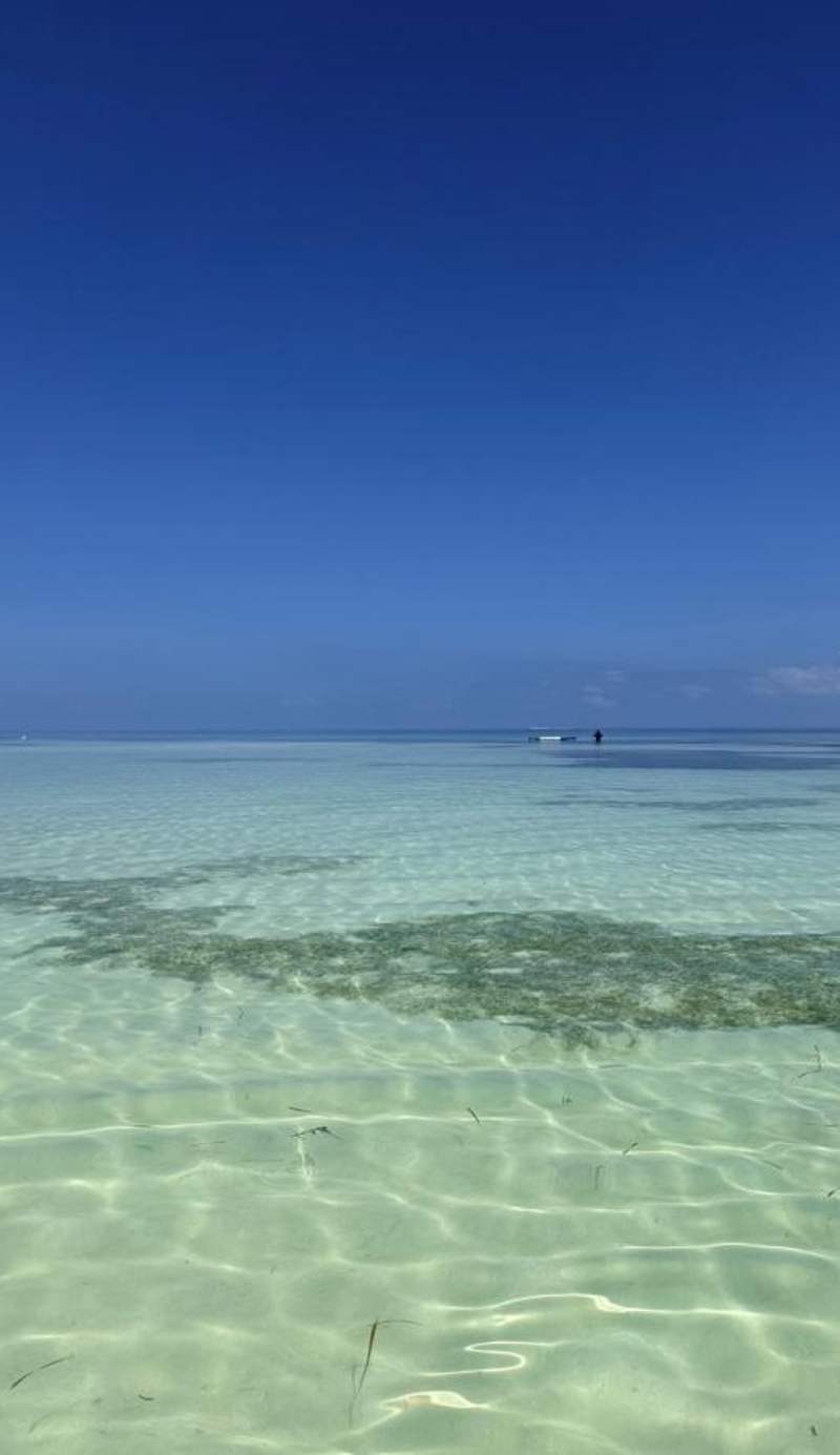 Dhiffushi Inn