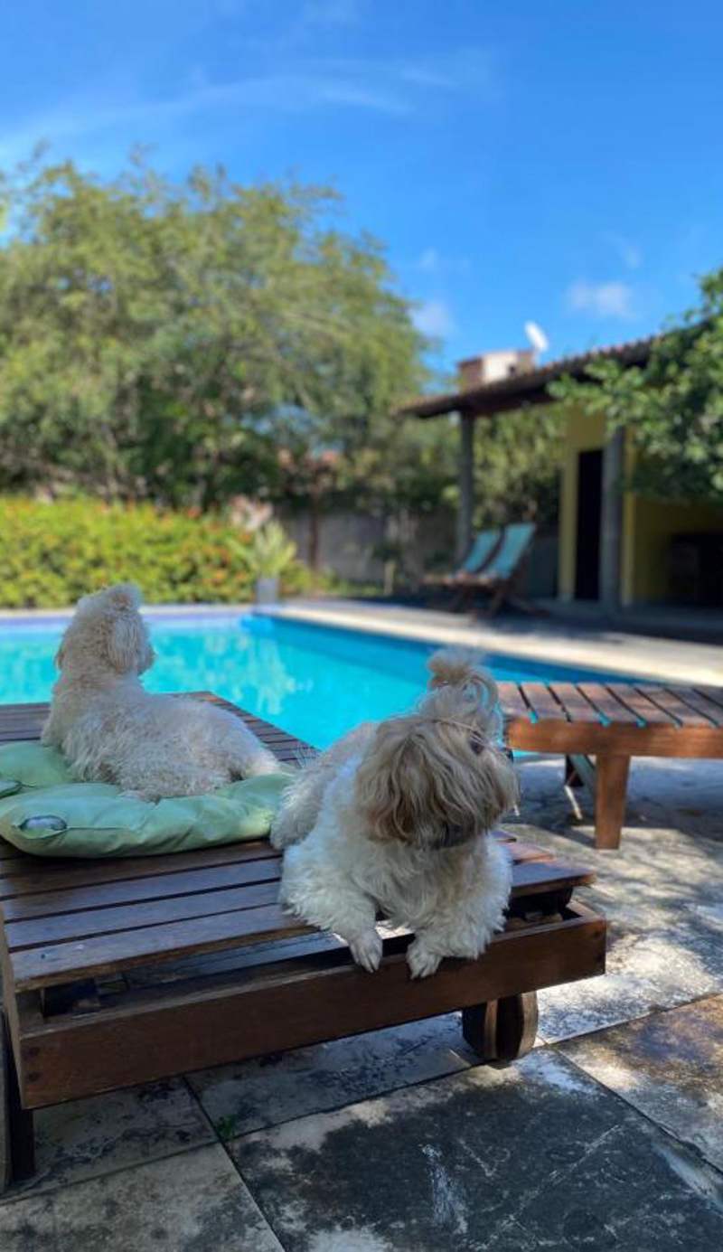 Chalés toca do guaxinim