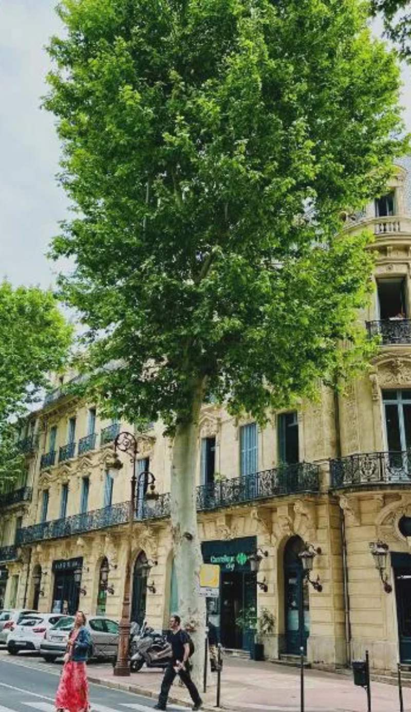 Duplex T2 de haut-standing