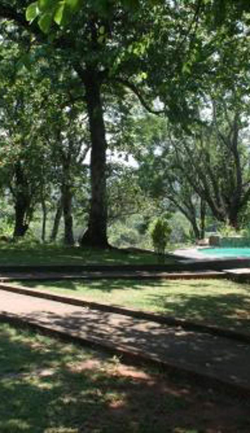 Mountain Creek Lodge