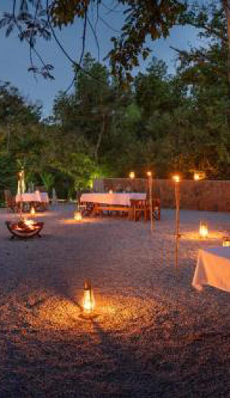 Bushbaby Valley Lodge