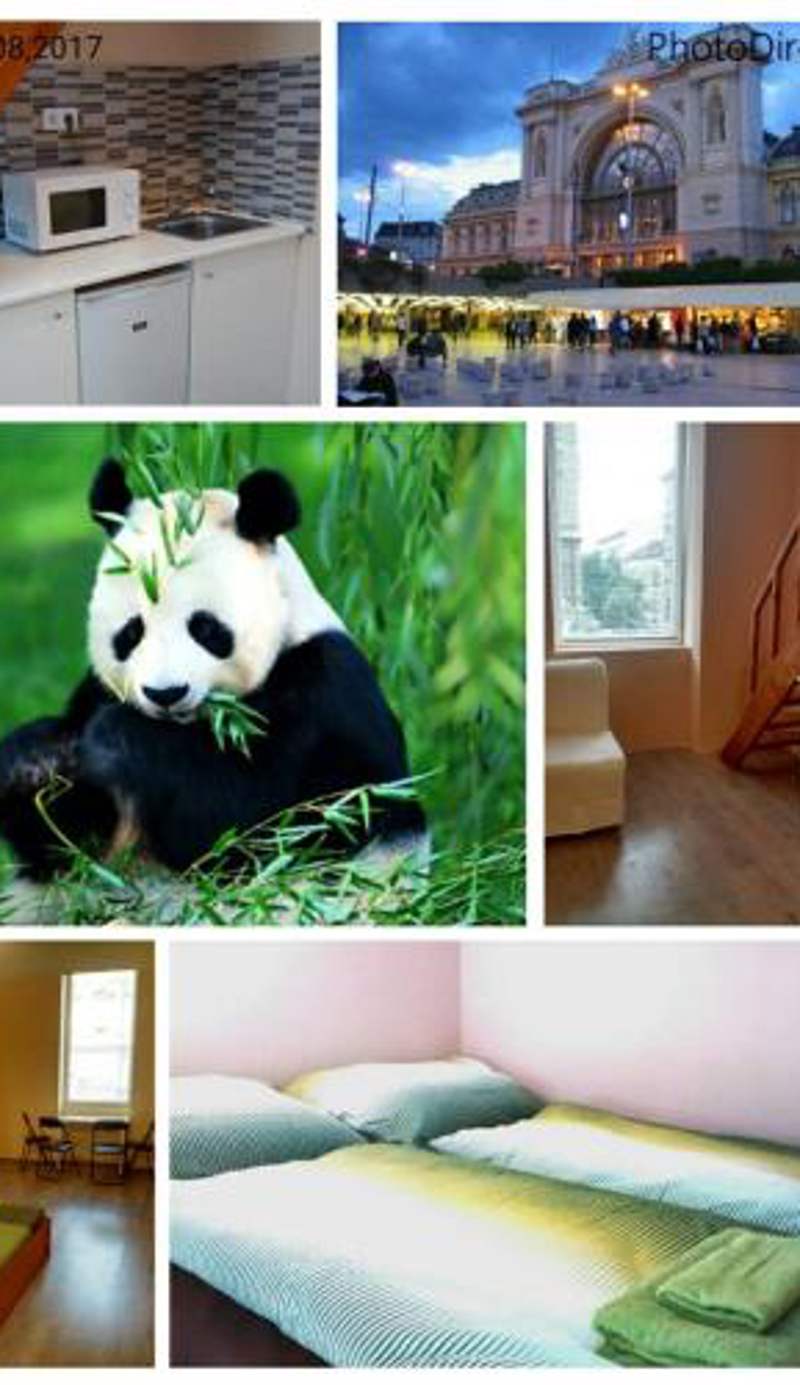 Green Panda Apartments