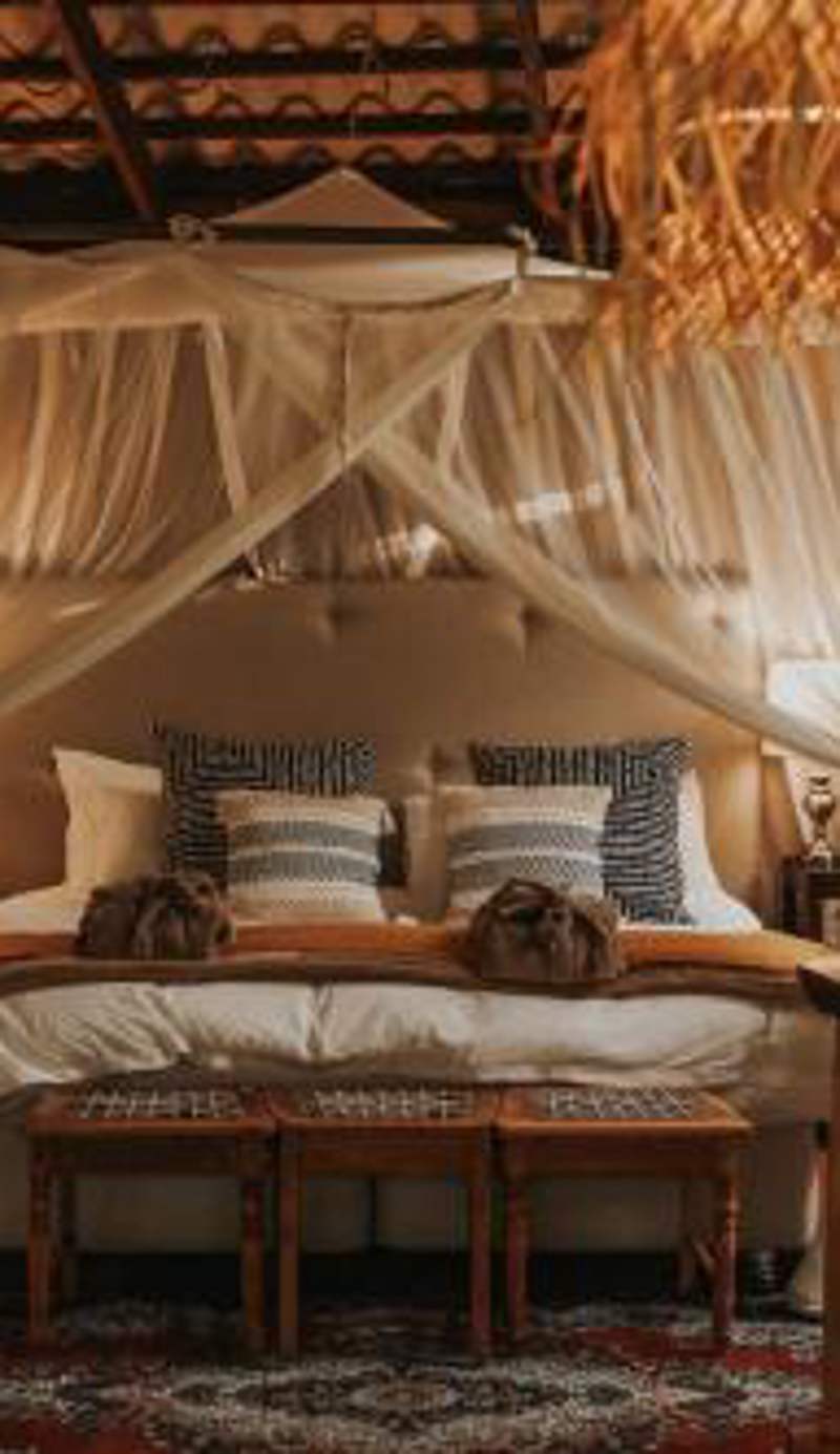 Honeywood Forest Lodge