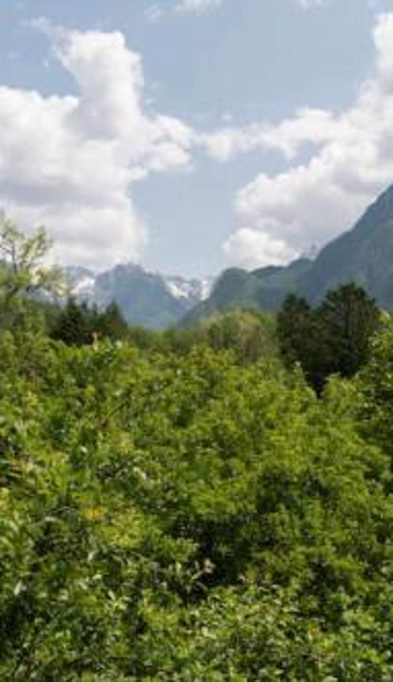 Fröccs Apartmann
