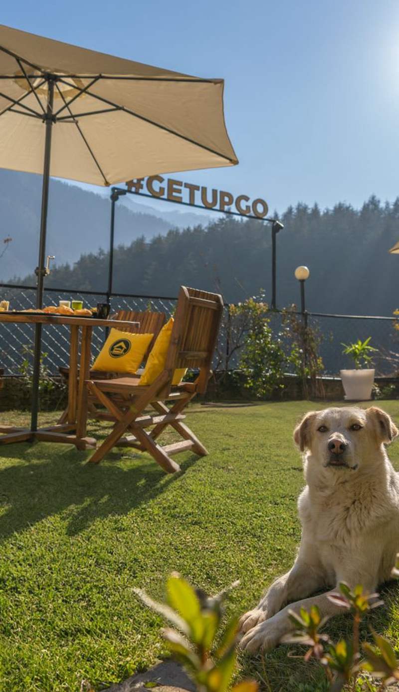 The Hosteller Manali, Old Manali