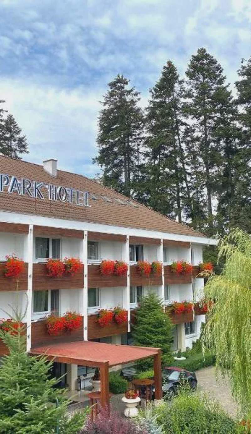 Hotel Park Sfantu Gheorghe