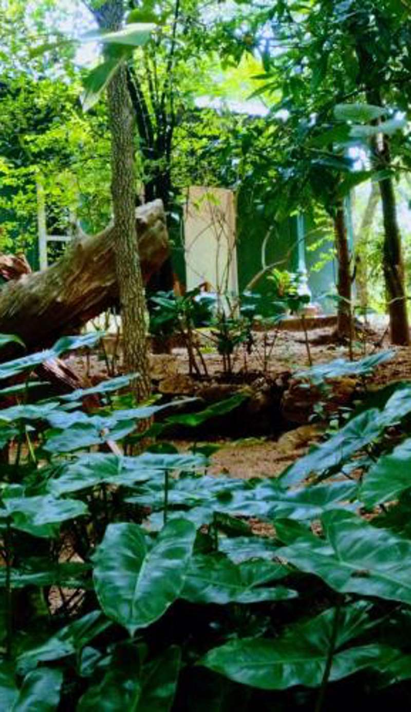 Nethu Herbal Villa