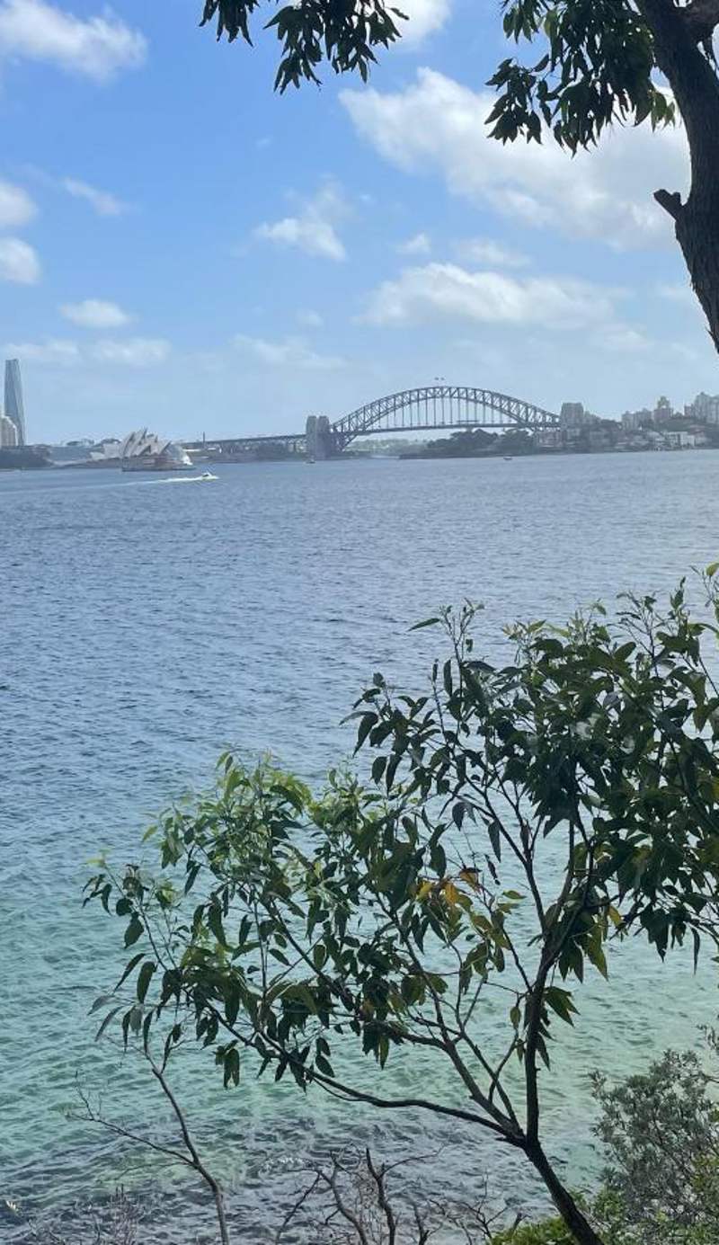 Neutral Bay Lodge