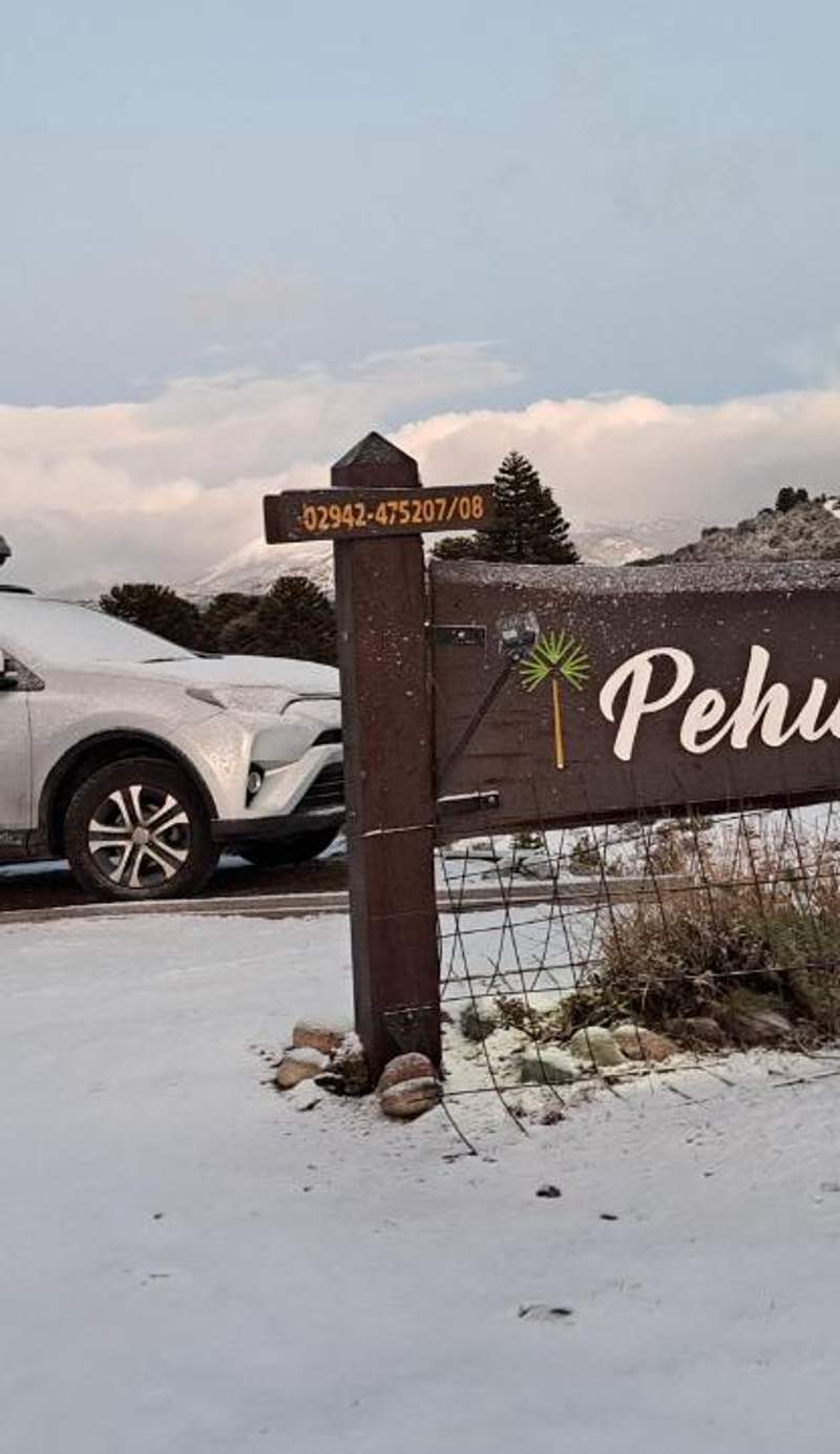 Apart hotel Pehuenia