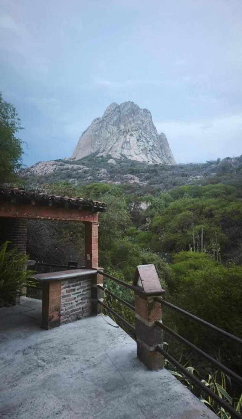 Hotel Casa del Arbol