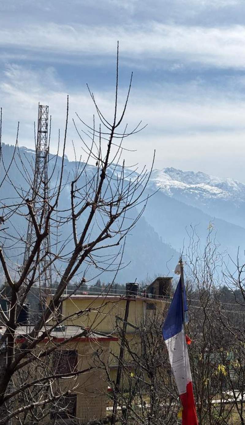 Zostel Old Manali