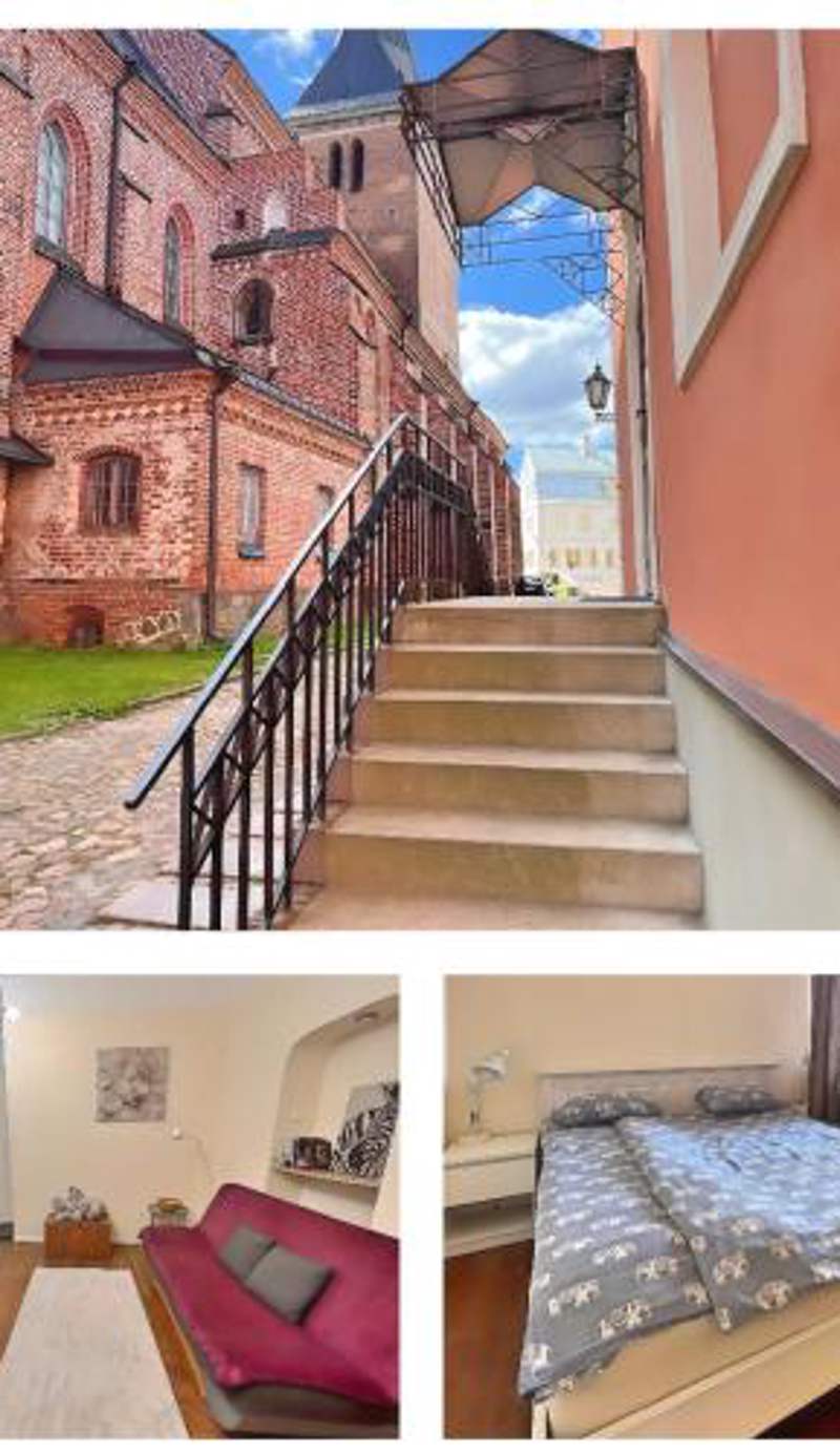 Elephant House - Old Town Tartu