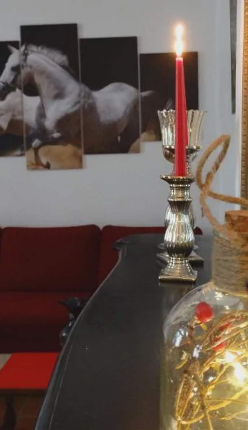 Studio Séquoia au pied du Château