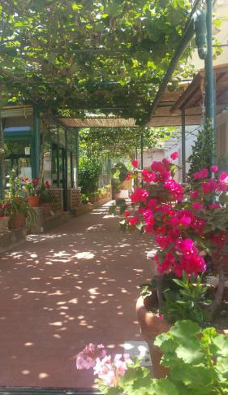 Villa dei fiori B&B